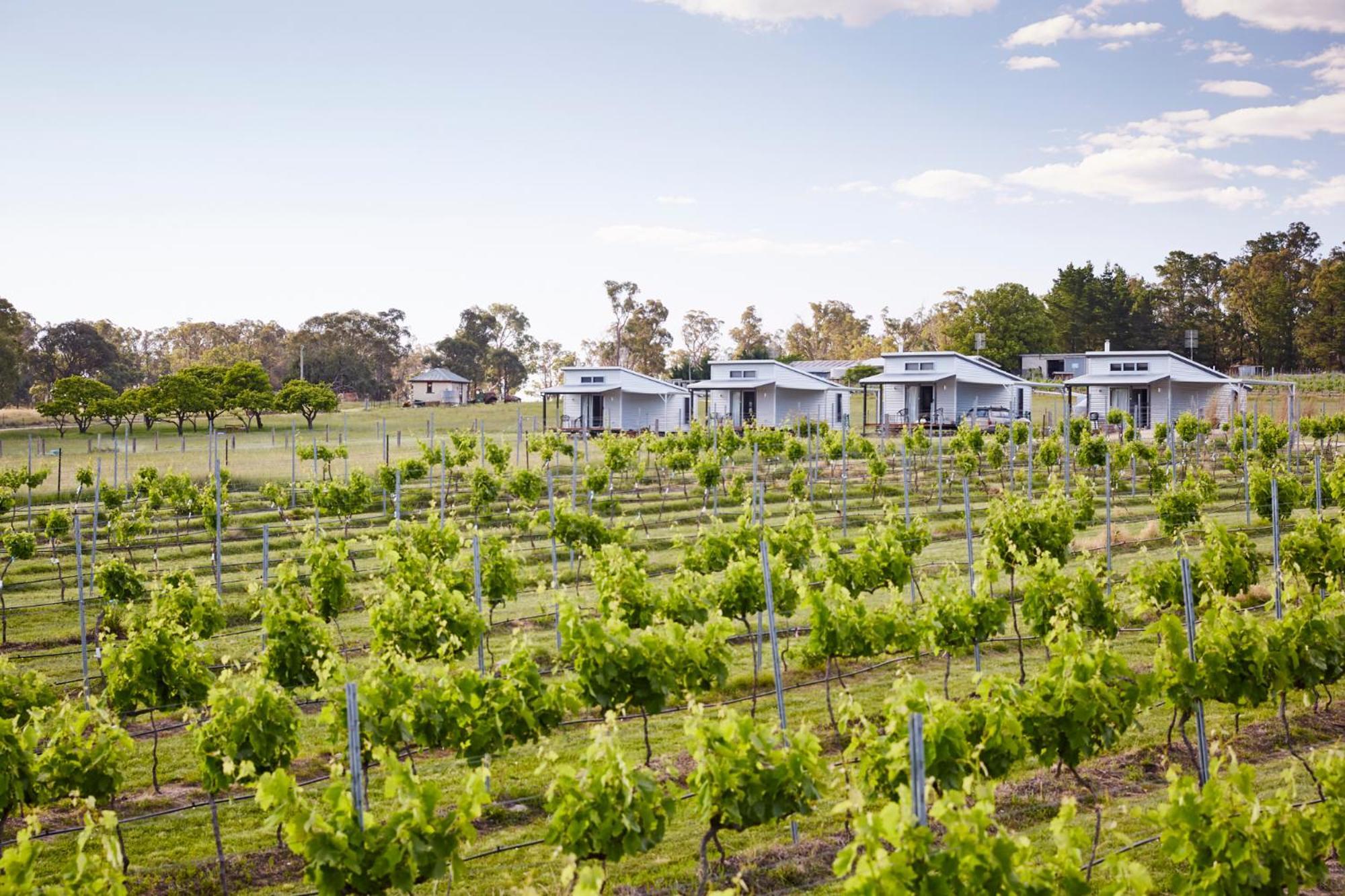Ridgemill Estate Aparthotel Stanthorpe Eksteriør bilde